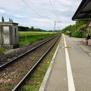 Gare