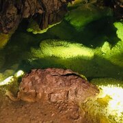 Dans les grottes