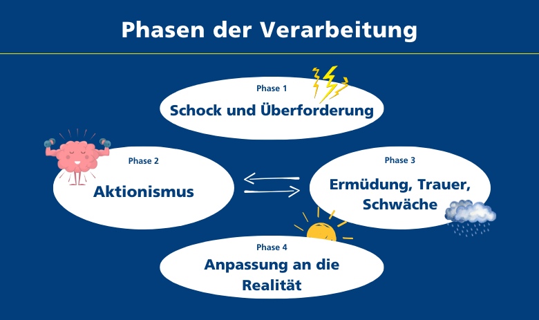 Vier Phasen der Verarbeitung Vier Phasen der Verarbeitung